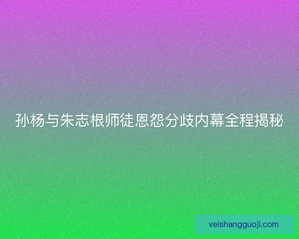 孙杨与朱志根师徒恩怨分歧内幕全程揭秘 孙杨与朱志根师徒恩怨分歧内幕全程揭秘